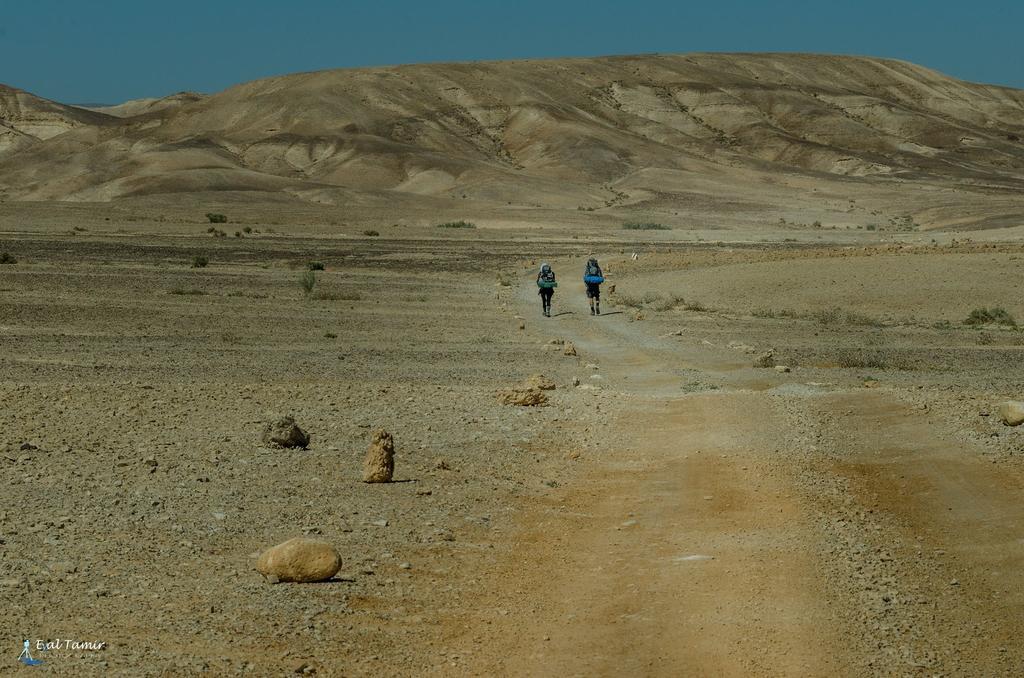 Desert Picture อารัด ภายนอก รูปภาพ