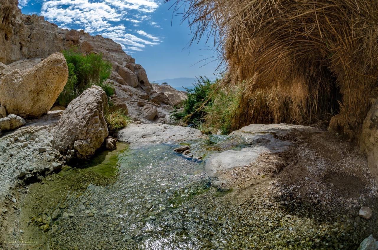 Desert Picture อารัด ภายนอก รูปภาพ