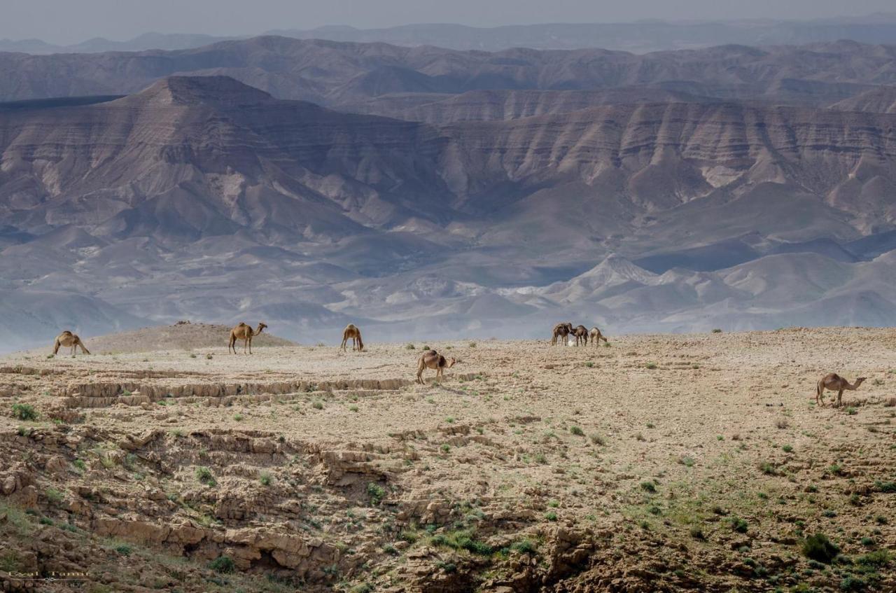 Desert Picture อารัด ภายนอก รูปภาพ