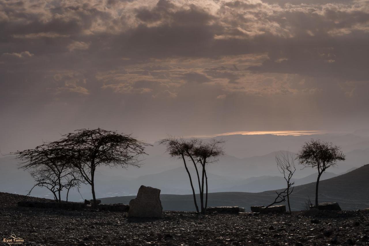 Desert Picture อารัด ภายนอก รูปภาพ